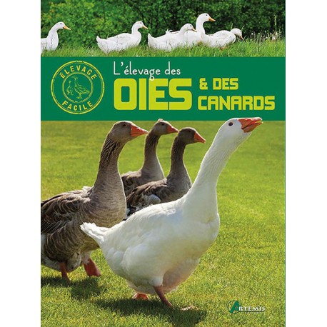 Elevage Des Oies Et Canards Artemis